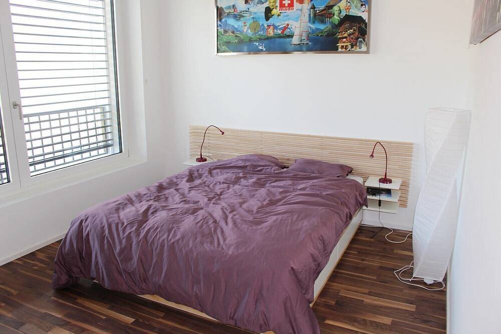 Entire apartment, Superb Loft In The Center Of Lausanne in Lausanne, Lake Geneva