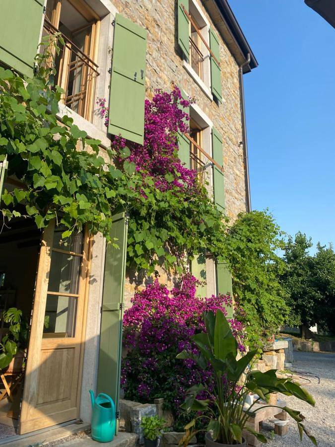 Chambre d’hôte pour 2 personnes, avec terrasse ainsi que vue et jardin à Muggia - 3