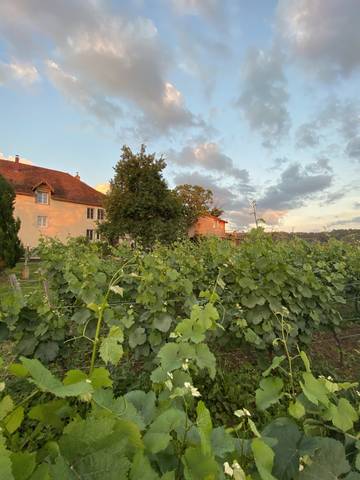 Chambre d’hôte pour 2 personnes, avec jardin dans le Jura