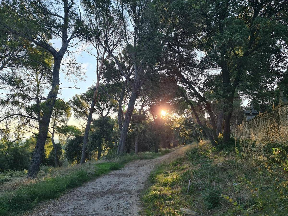 Le repaire de Mélusine in Barbentane, Région d'Arles