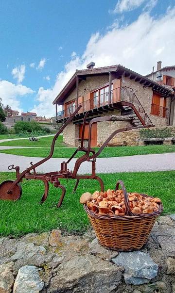 Casa rural para 6 personas, con vistas y jardín además de terraza y piscina en Ripollès