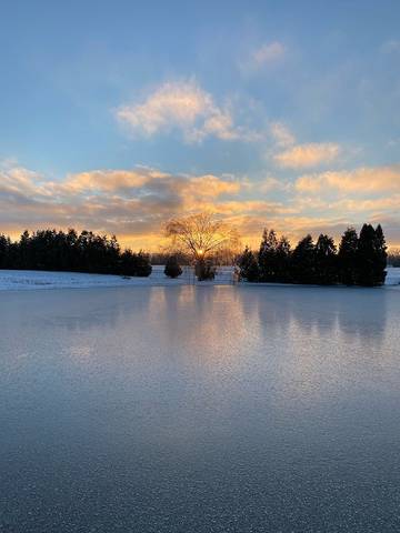 Log Cabin for 2 Guests in Indiana, USA, Picture 2