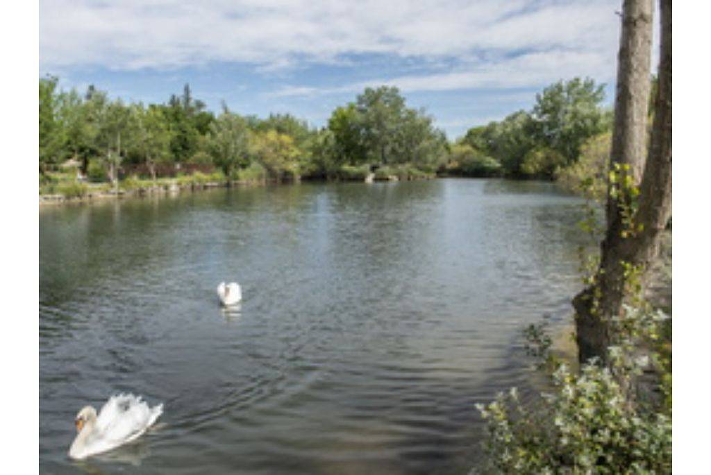 Appartement entier, Sun Hols Les Rives du Lac V4D8 in Saint-Saturnin-lès-Avignon, Vaucluse