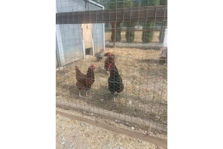 Bed and breakfasts for 2 people, with garden in Washington