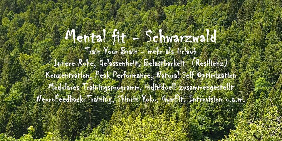 Ganze Wohnung, Apartment 'Mental Fit, 10, Todtmoos' mit Bergblick, Balkon und Wlan in Todtmoos-Mättle, Todtmoos