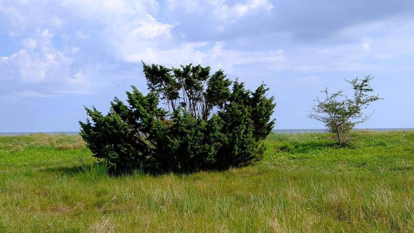 Ferienhaus für 5 Personen, mit Terrasse, mit Haustier in Gedesby - 3