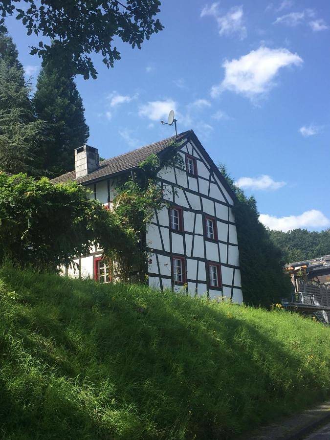 Noah - Seeleben auf Zeit am Rursee in Simmerath, Rureifel (Nordrhein-westfalen)