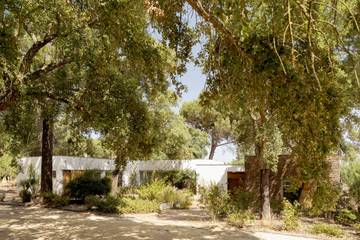 Casa De Férias para 9 Pessoas em Grândola e Santa Margarida da Serra, Alentejo Litoral, Foto 2