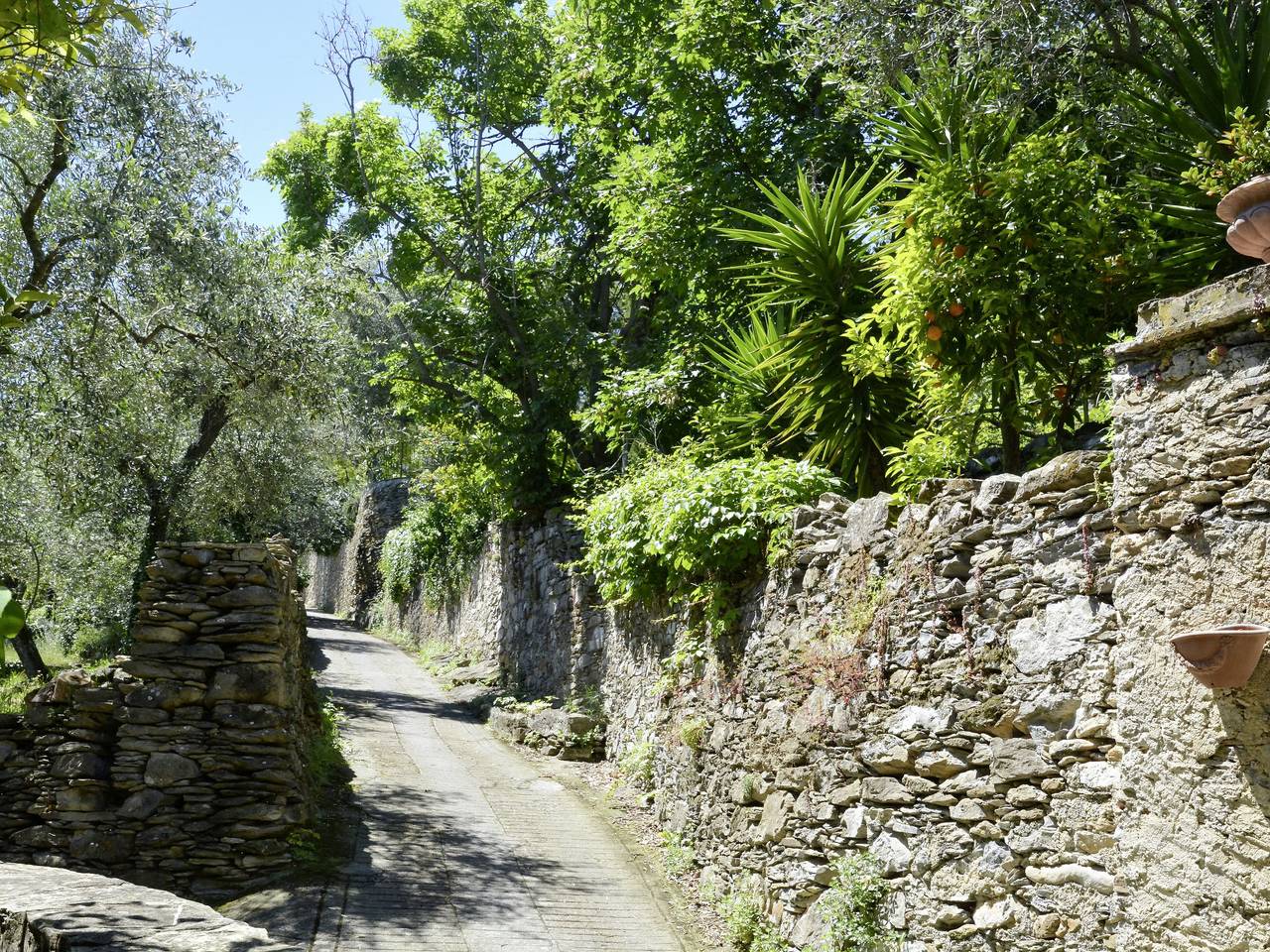 Laura (Dol281) in Bellissimi (Dolcedo), Dolcedo Gemeinde