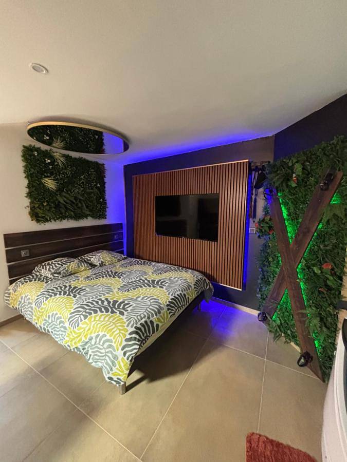 Gîte pour 2 personnes, avec jacuzzi à Vizille - 4