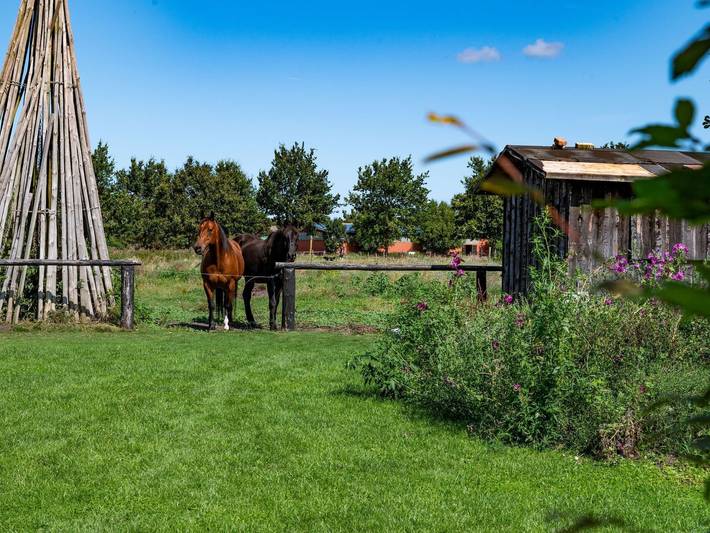 Ferienhaus für 8 Personen, mit Garten und Sauna sowie Ausblick, kinderfreundlich auf Fischland - Darß - Zingst - 4