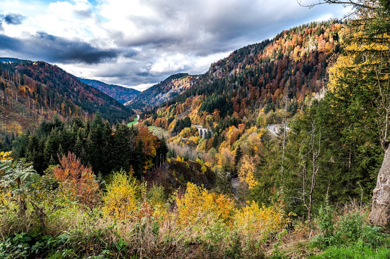 Entire holiday apartment, Holiday apartment for 6 people with garden in Suedlicher Schwarzwald, Hinterzarten