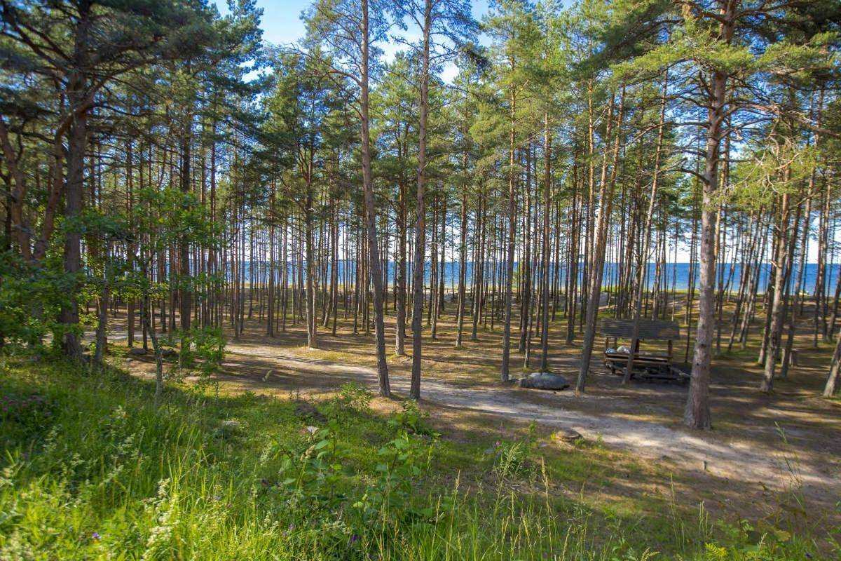 Triple Room with Shower in Harju region