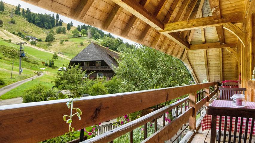 Ferienwohnung für 2 Personen, mit Garten in Münstertal - 4