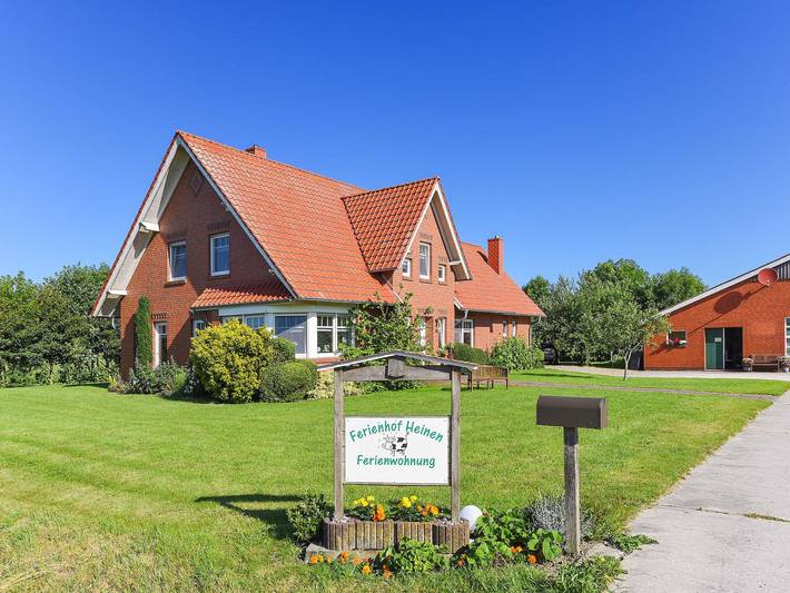 Ferienhaus für 5 Personen, mit Terrasse und Garten in Neu Augustengroden - 4