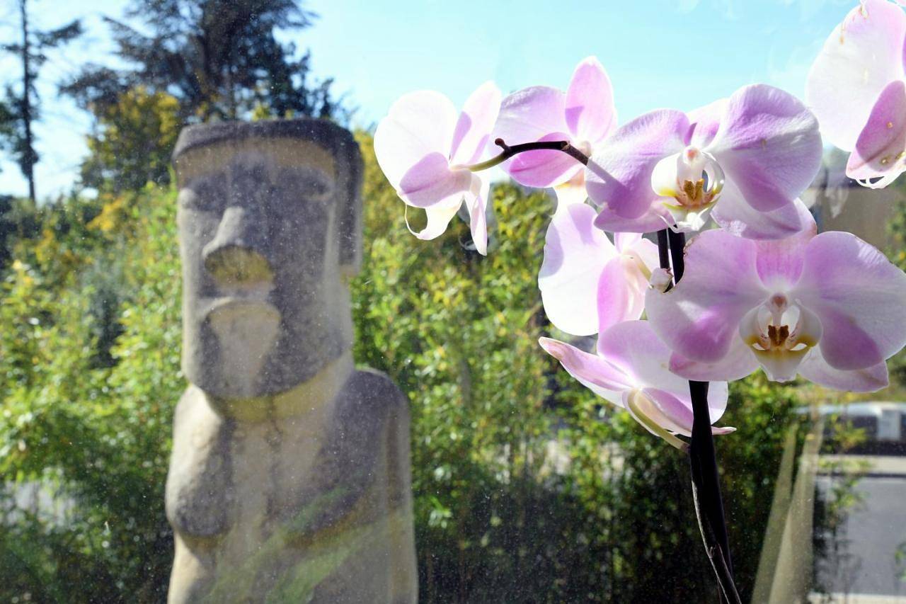 Ganze Wohnung, Residence Moai - Gardenview - Business Travel - kostenloser Parkplatz, Glasfaser, Waschtrockner, Smart Tv, Qbo Essential, ergonomischer Schreibtisch in Erlangen, Franken