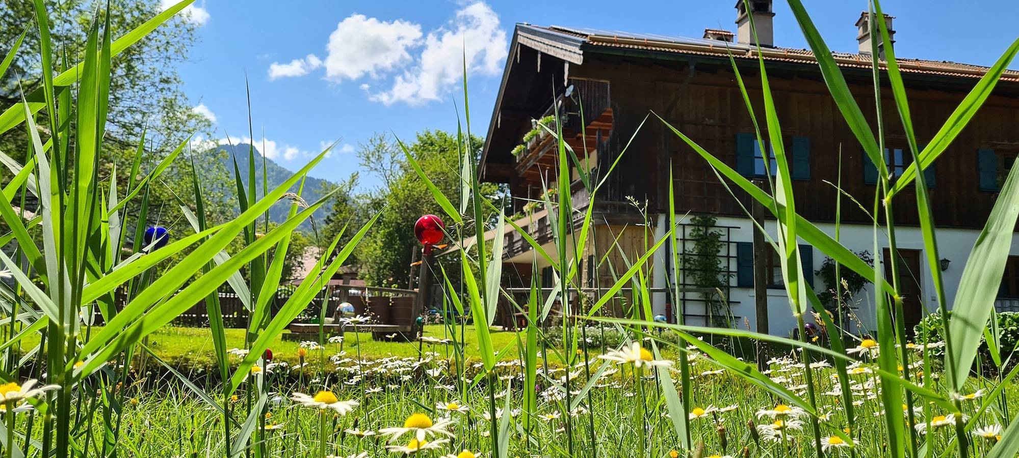 Ganze Ferienwohnung, Ferienwohnung Diechtler inkl. Chiemgaukarte - Ferienwohnung West 55qm,Terrasse, Küche, 2 Schlafzimmer, Wohnzimmer, max 4 P. in Ruhpolding, Bayerische Alpen