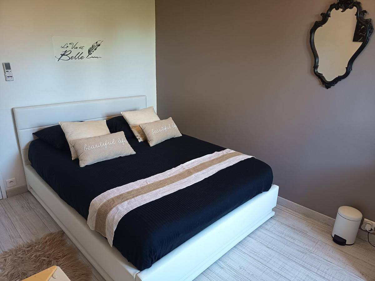 Appartement de vacances entier, Chambre climatisée à louer chez l'habitant in Boigny-sur-Bionne, Vallée de la Loire