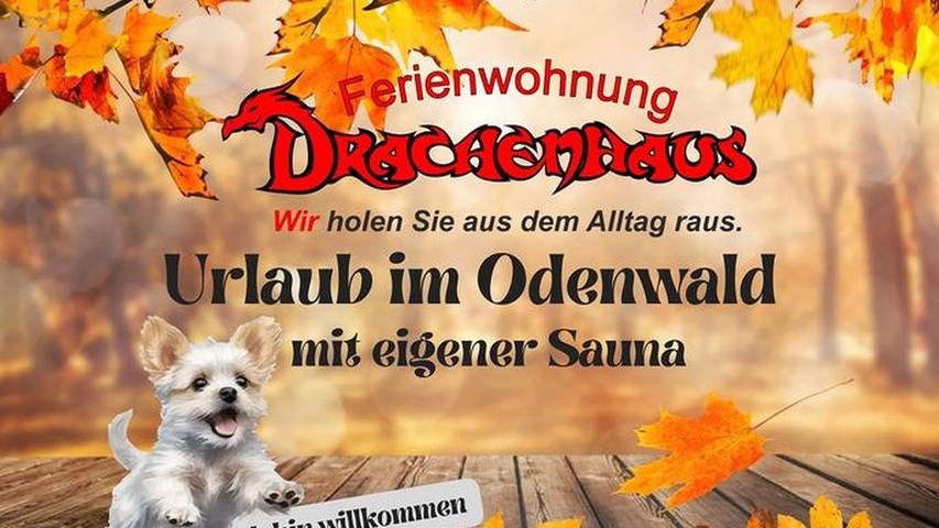 Ferienwohnung für 3 Personen, mit Garten und Sauna sowie Ausblick, kinderfreundlich - 1