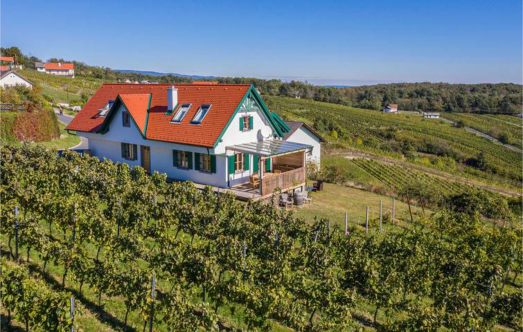 Ferienhaus für 8 Personen, mit Terrasse und Garten in Eisenberg an der Pinka