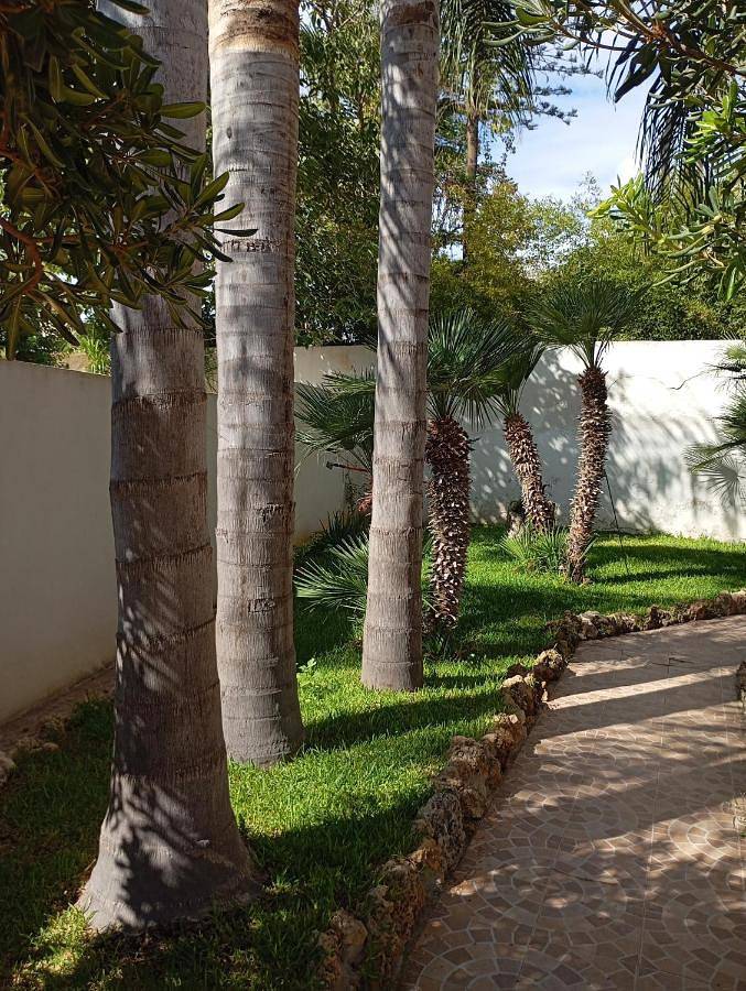 Oasi vacanza in Mazara del Vallo, Marzara del Vallo e dintorni