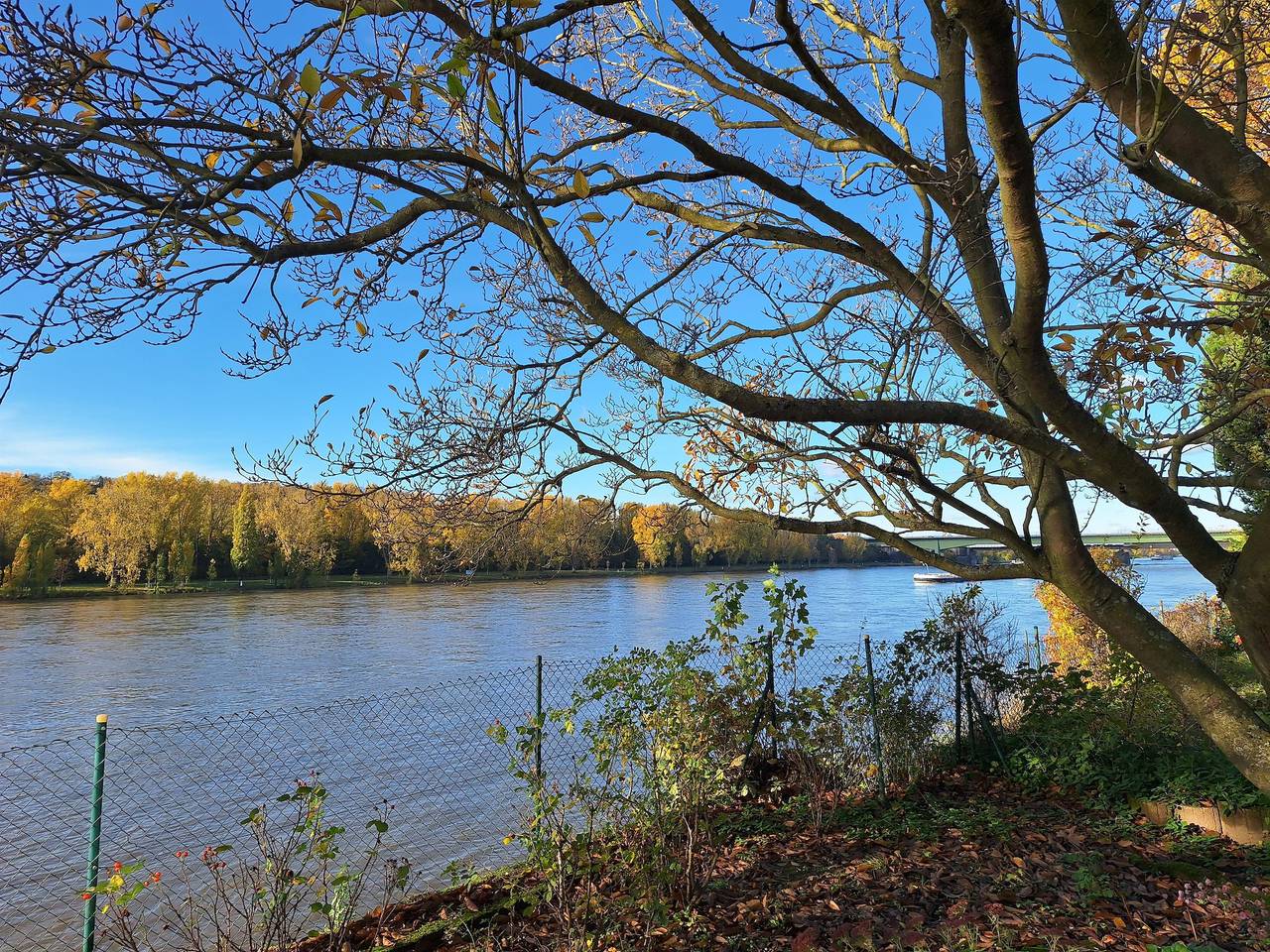 Entire holiday apartment, Appartement mit Rheinblick in Koblenz, Osteifel