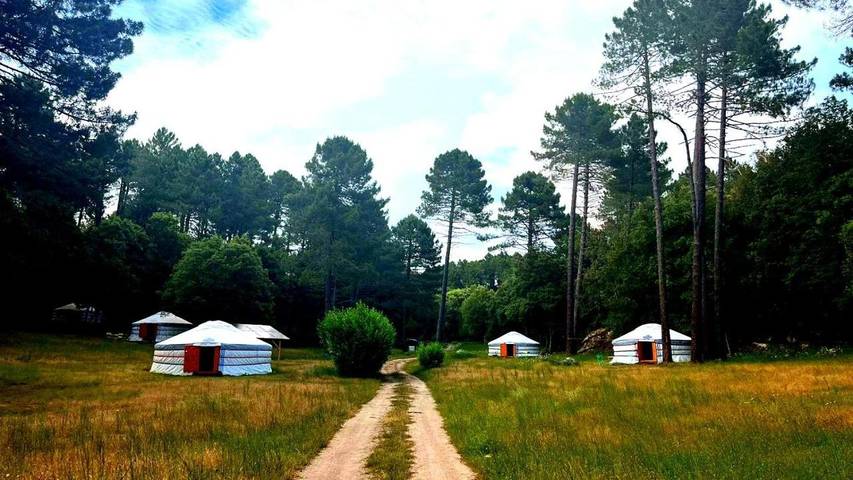 Tente pour 5 personnes, avec jardin et vue en Corse-du-Sud - 2