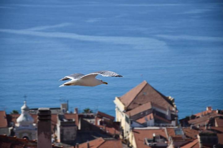 Appartamento vacanze per 5 persone, con giardino e panorama - 1