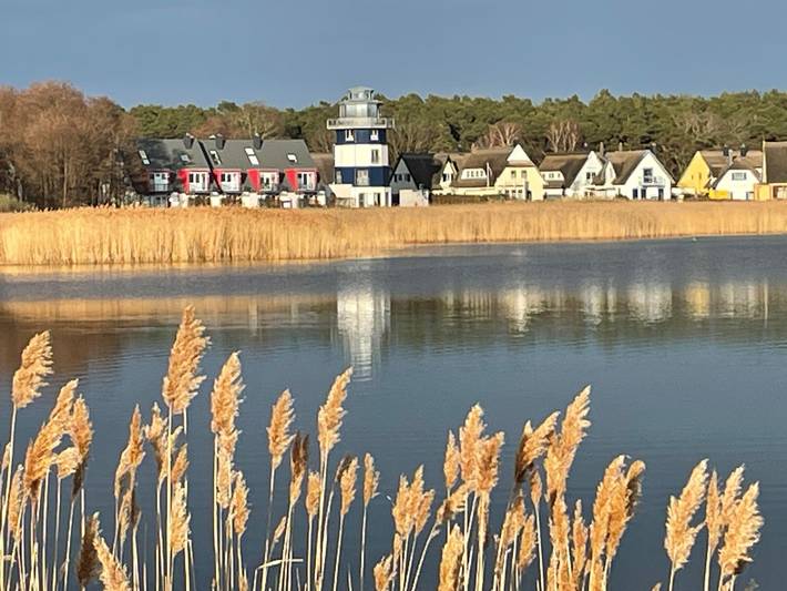 Ferienhaus für 6 Personen, mit Garten, mit Haustier in Breege - 2