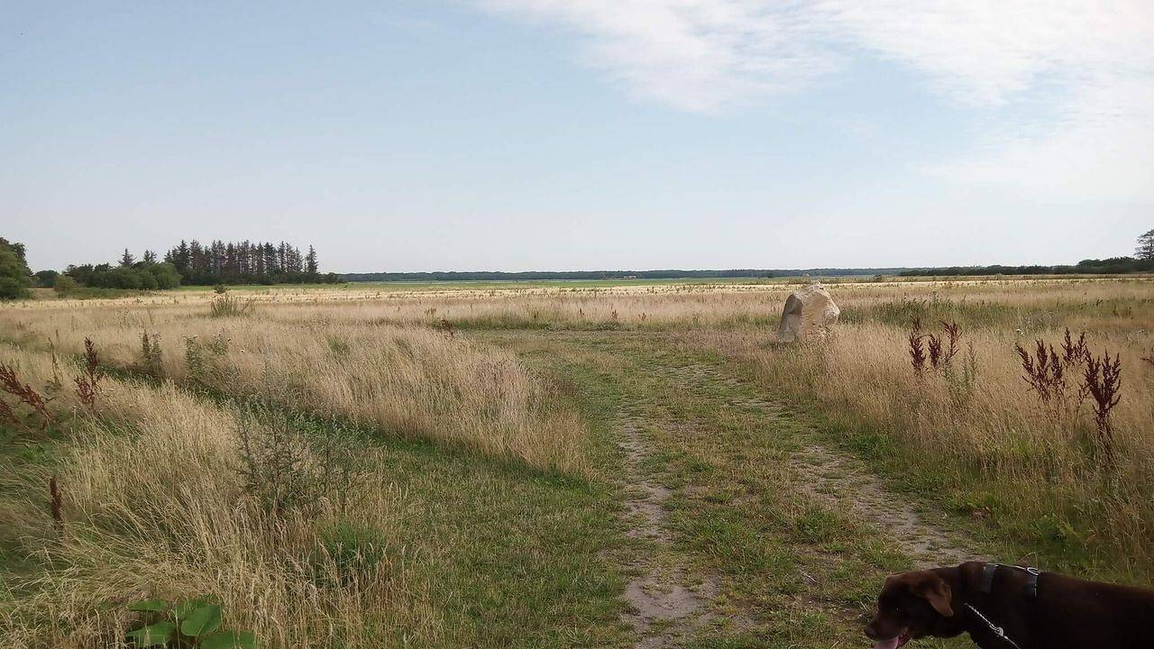 Ferienhaus für 8 Personen (80 m²) in Storvorde in Egense, Limfjord in Nordjütland