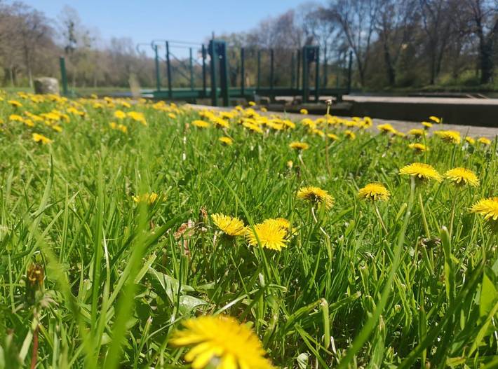Chambre d’hôte pour 2 personnes, avec jardin, animaux acceptés dans le Finistère - 4