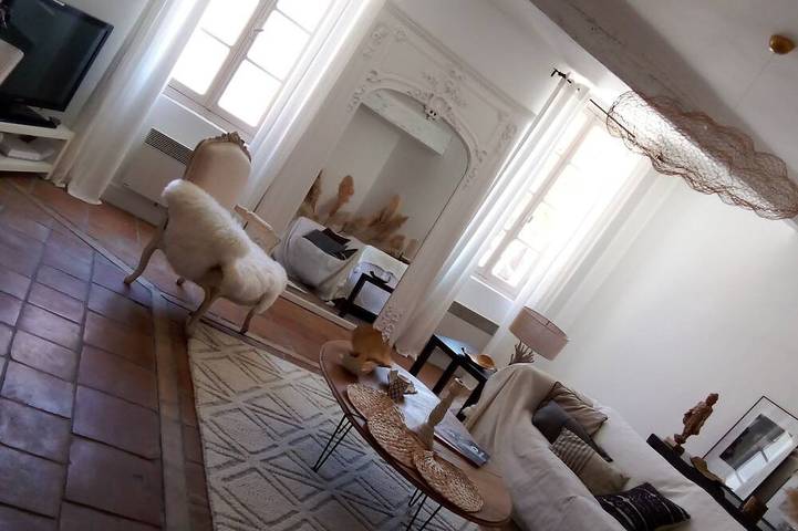 Chambre d’hôte pour 3 personnes à Aigues-Mortes - 4