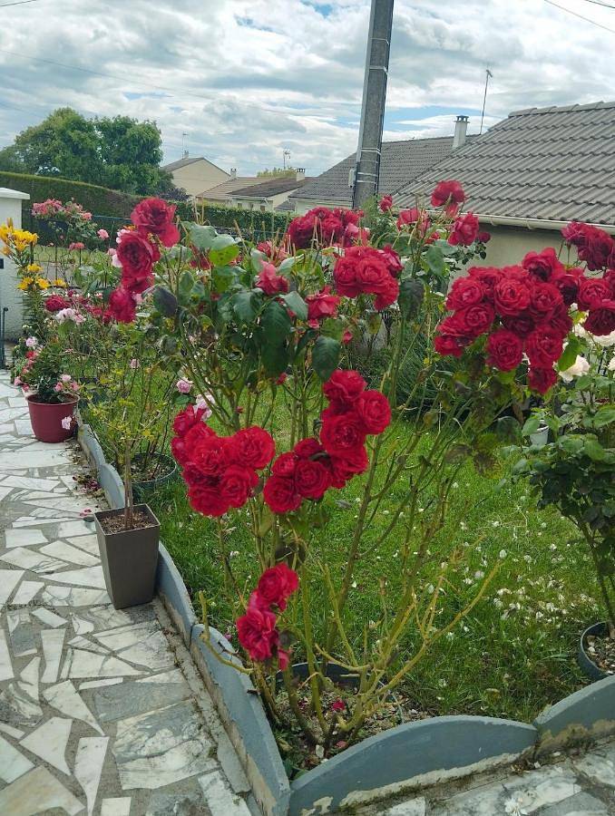 Appartement entier, Nice apartment 1 hour from Paris and 45 minutes from Orléans in Ferrières-en-Gâtinais, Région de Montargis