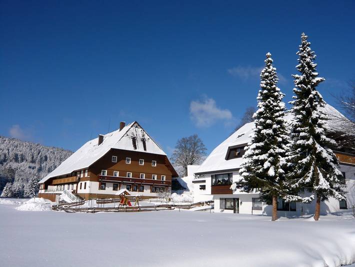 Holiday apartment for 4 people, with garden, child-friendly - 1