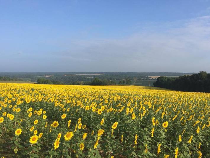Location de vacances pour 5 personnes, avec vue et jardin à Cunfin - 3
