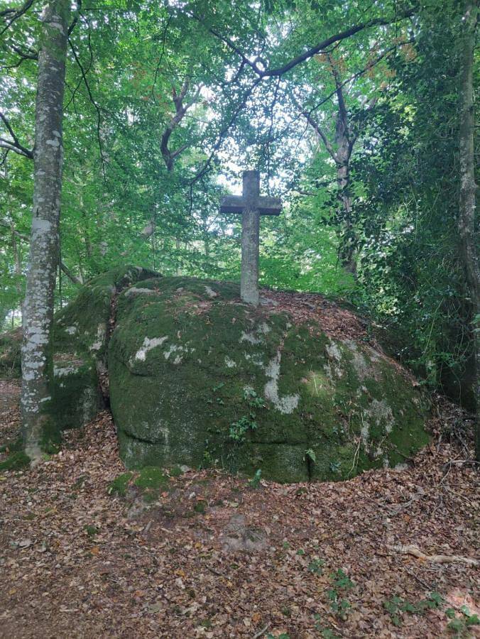 Location de vacances pour 12 personnes, avec jardin et vue dans Port Manec’h - 3