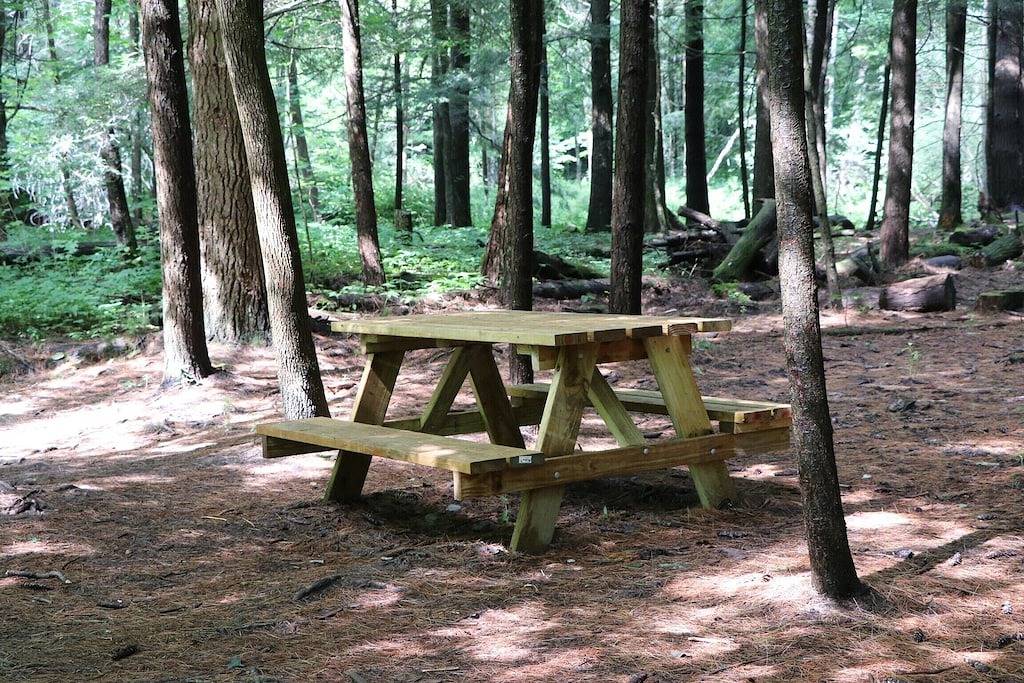 Bed And Breakfast for 6 Guests in Dorset (Vermont), Green Mountain National Forest