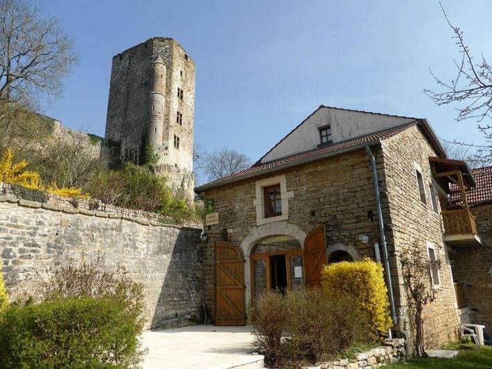 Gîte pour 10 personnes, avec terrasse et vue, animaux acceptés à Chaudenay-le-Château