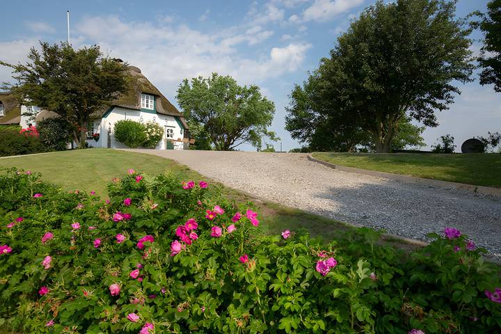 Ganze Wohnung, Apartment 'Appelhus Cox' mit gemeinsamer Terrasse, Garten und Wlan in Pellworm, Nordfriesland