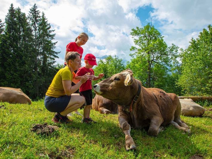 Hotel für 2 Personen, mit Garten, kinderfreundlich in Bezau - 3
