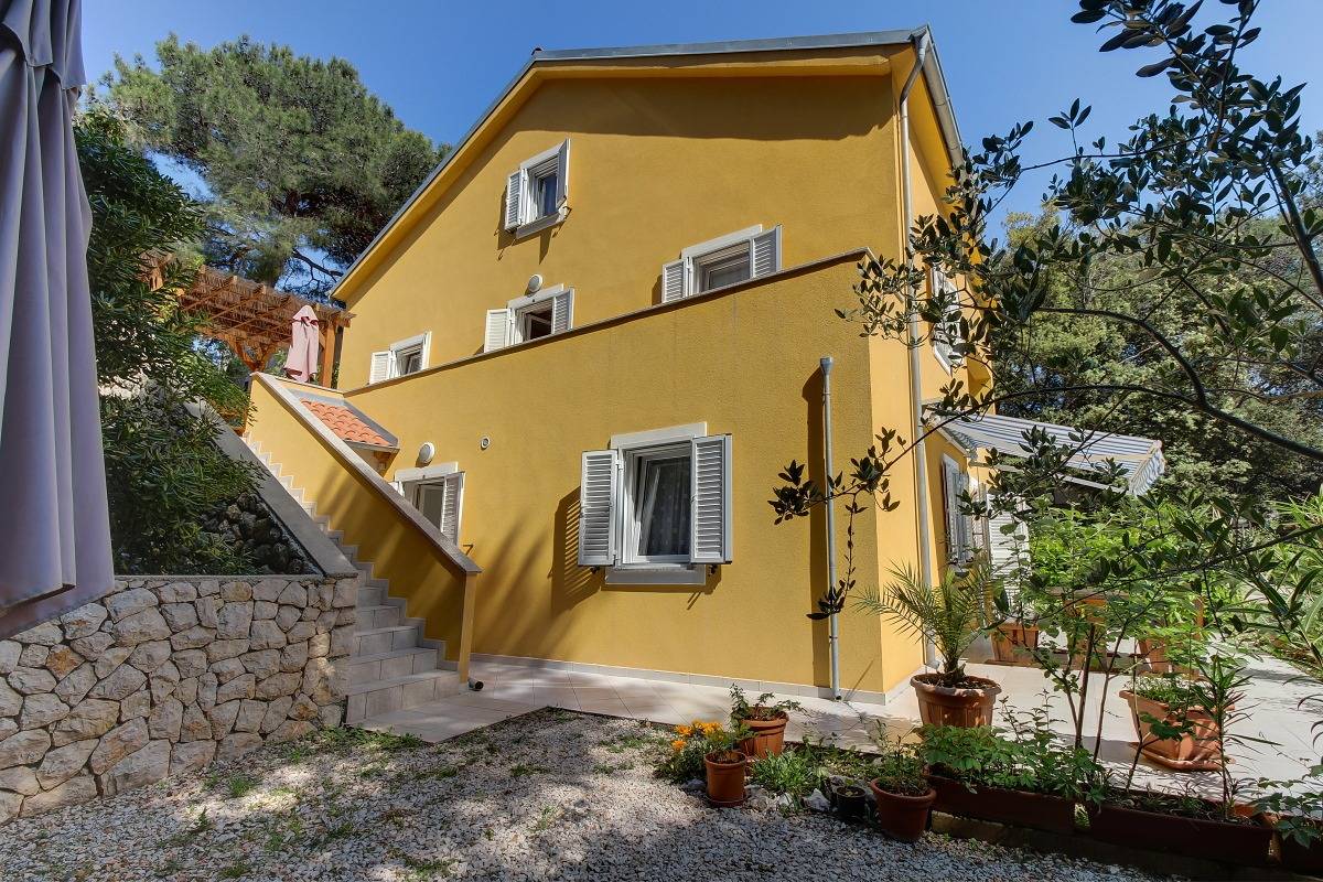 Ganze Wohnung, 1-Zimmer-Ferienwohnung mit Terrasse Artatore, Losinj A-8022-a in Aratore, Kvarner Inseln