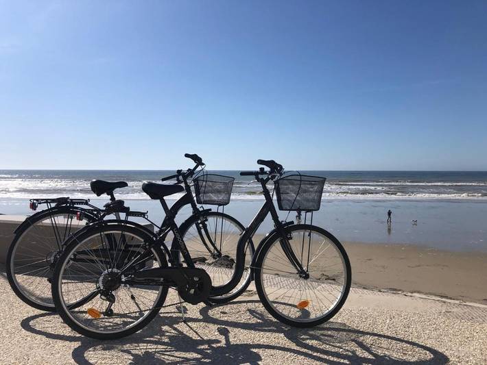 Gîte pour 2 personnes, avec terrasse, animaux acceptés dans Hardelot Plage - 4