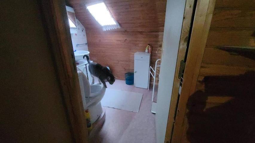 Gîte pour 3 personnes, animaux acceptés à Montbard - 2