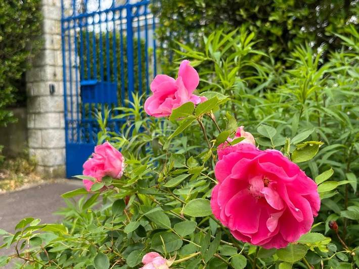 Maison de vacances pour 5 personnes, avec jardin ainsi que vue et terrasse, animaux acceptés