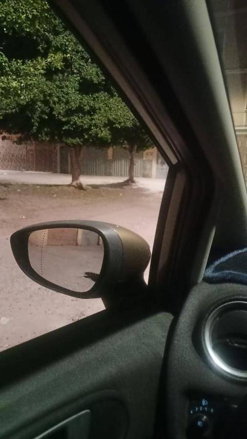 Apartamento de férias para 5 pessoas - 1