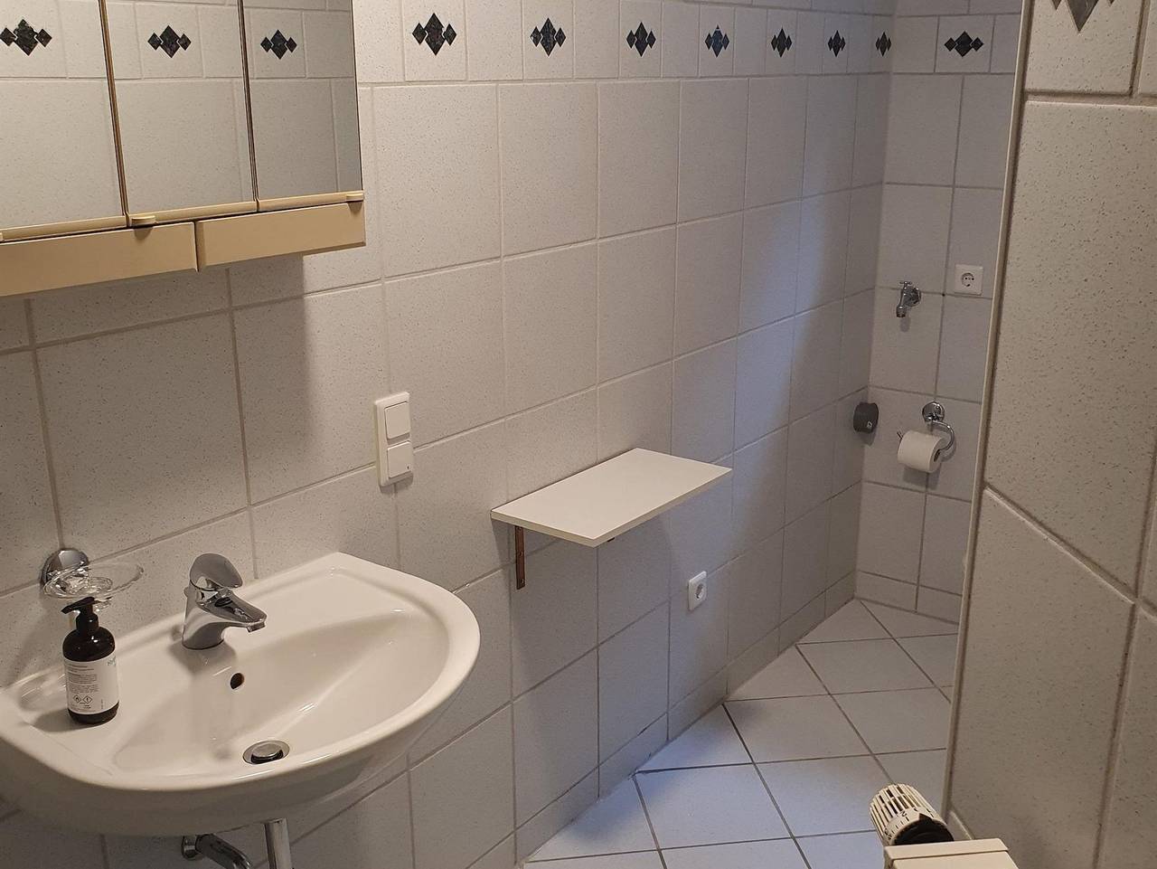 Ganze Ferienwohnung, Ferienwohnung Bunter Hund - Appartement/Fewo, Dusche, Wc, 1 Schlafraum in Hausen (Wied), Rheinland-Pfalz