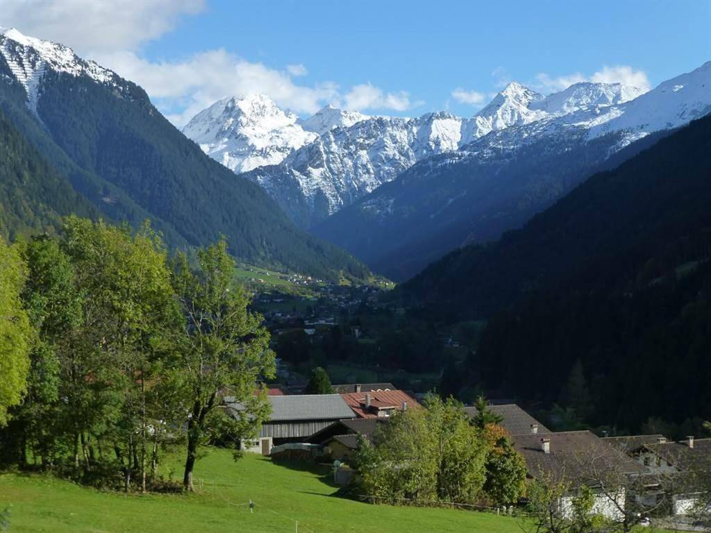 Appartement Zint in Sankt Gallenkirch (Ville), Sankt Gallenkirch