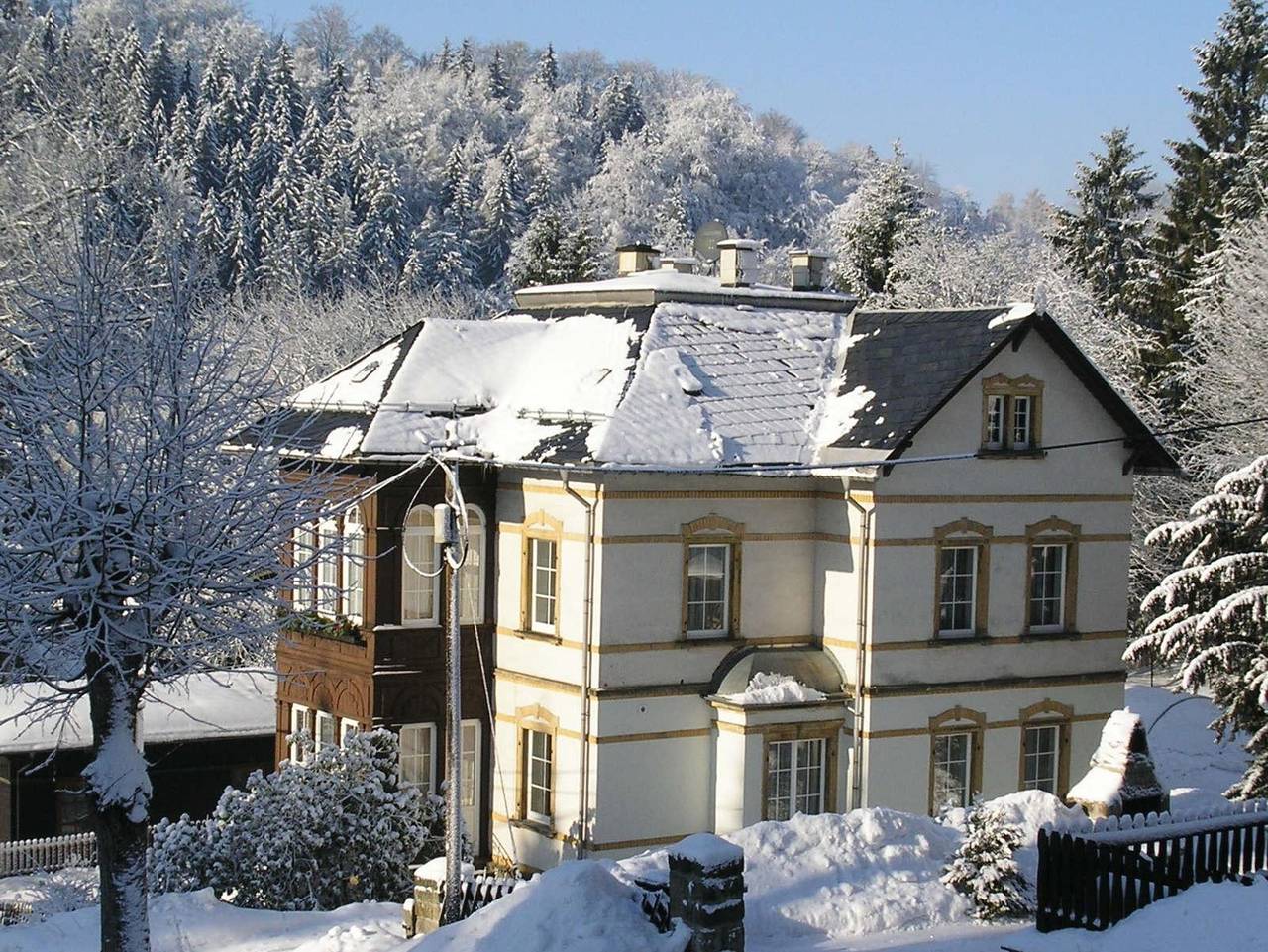 Ganze Ferienwohnung, Ferienwohnungen "Villa Angelika" - Ferienwohnung 1 Tellkoppe in Altenberg, Mittlere Erzgebirge