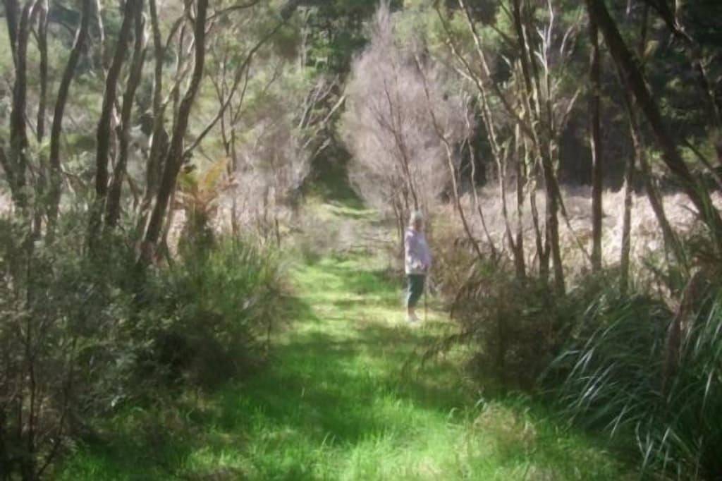 Privates und haustierfreundliches Lockwood-Haus in Bay Of Islands