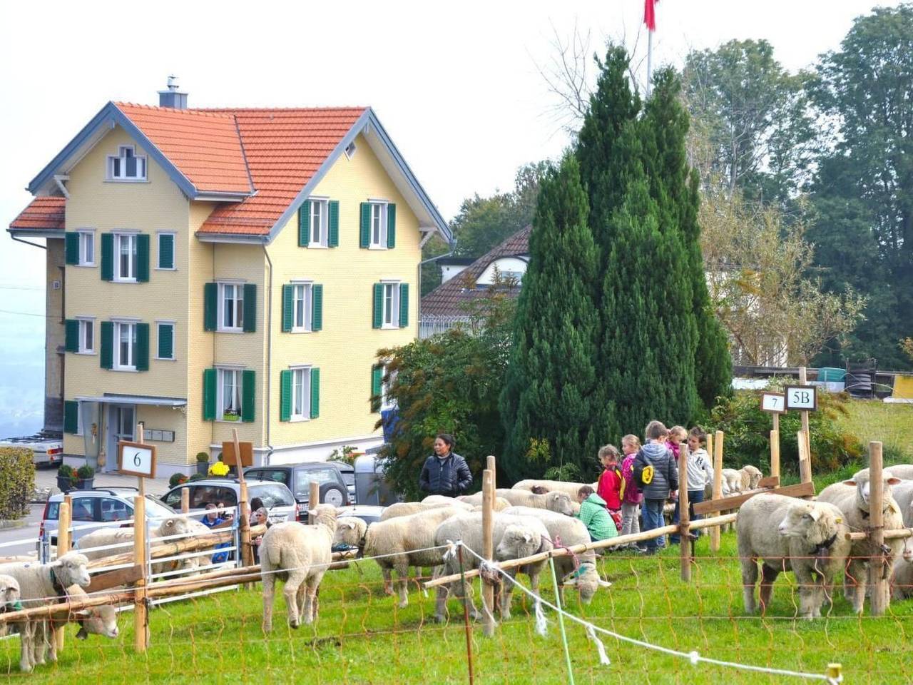 Ganze Wohnung, Rätia in Wolfhalden, Vorderland